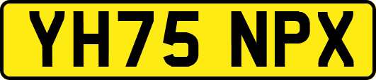 YH75NPX