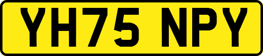YH75NPY