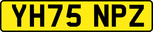 YH75NPZ