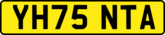 YH75NTA