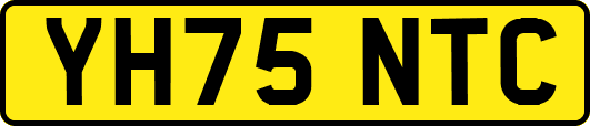 YH75NTC