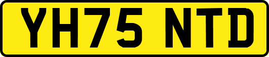 YH75NTD