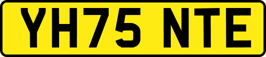 YH75NTE