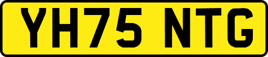 YH75NTG