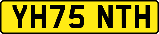 YH75NTH
