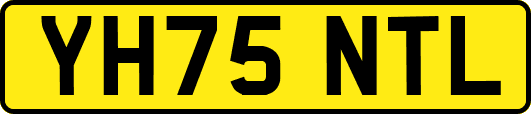 YH75NTL