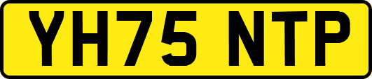 YH75NTP