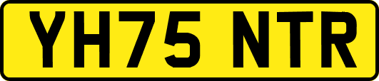 YH75NTR