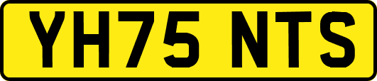 YH75NTS