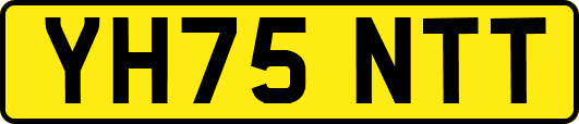 YH75NTT
