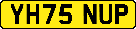 YH75NUP