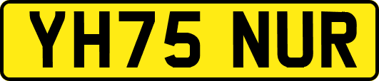YH75NUR