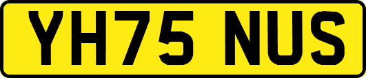 YH75NUS