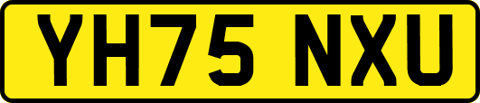 YH75NXU