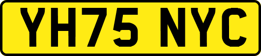 YH75NYC