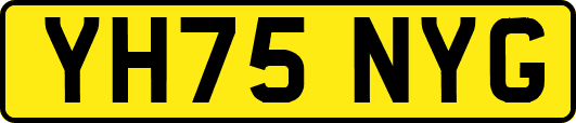 YH75NYG