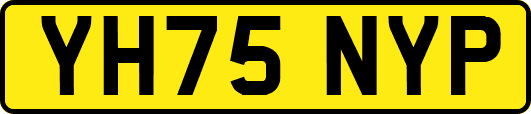 YH75NYP
