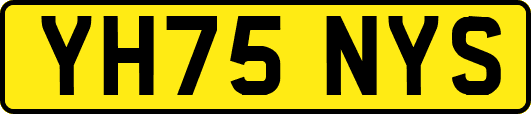 YH75NYS