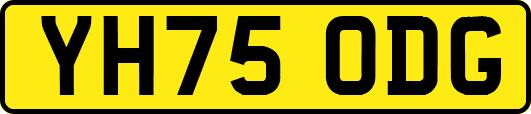 YH75ODG