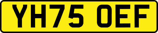 YH75OEF