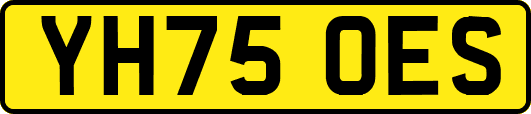 YH75OES