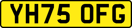 YH75OFG