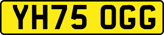 YH75OGG