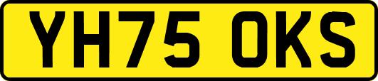 YH75OKS