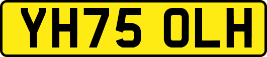 YH75OLH