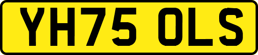YH75OLS