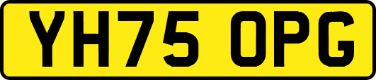 YH75OPG