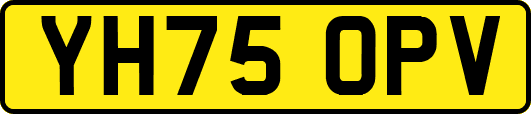 YH75OPV