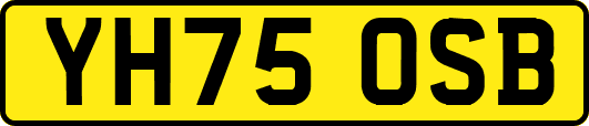 YH75OSB