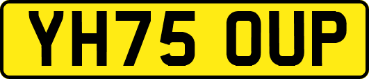 YH75OUP
