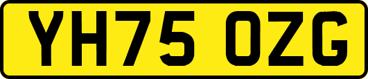 YH75OZG