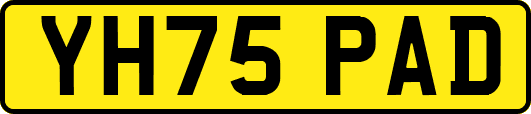 YH75PAD