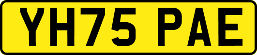 YH75PAE