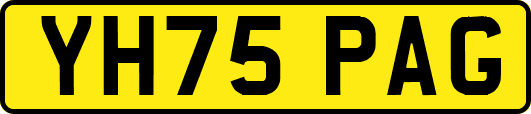 YH75PAG