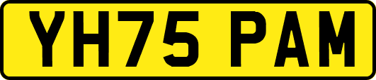 YH75PAM