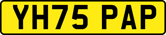 YH75PAP