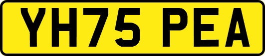 YH75PEA