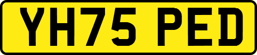 YH75PED