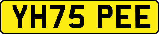 YH75PEE