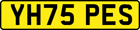 YH75PES