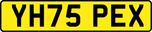 YH75PEX