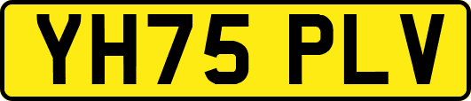 YH75PLV