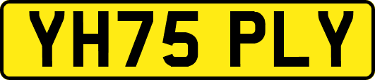 YH75PLY
