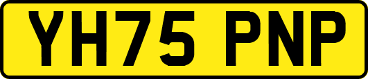 YH75PNP