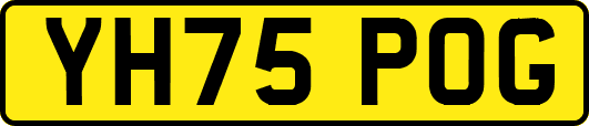 YH75POG