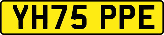 YH75PPE